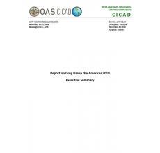 Report on Drug Use in the Americas 2019 Executive Summary